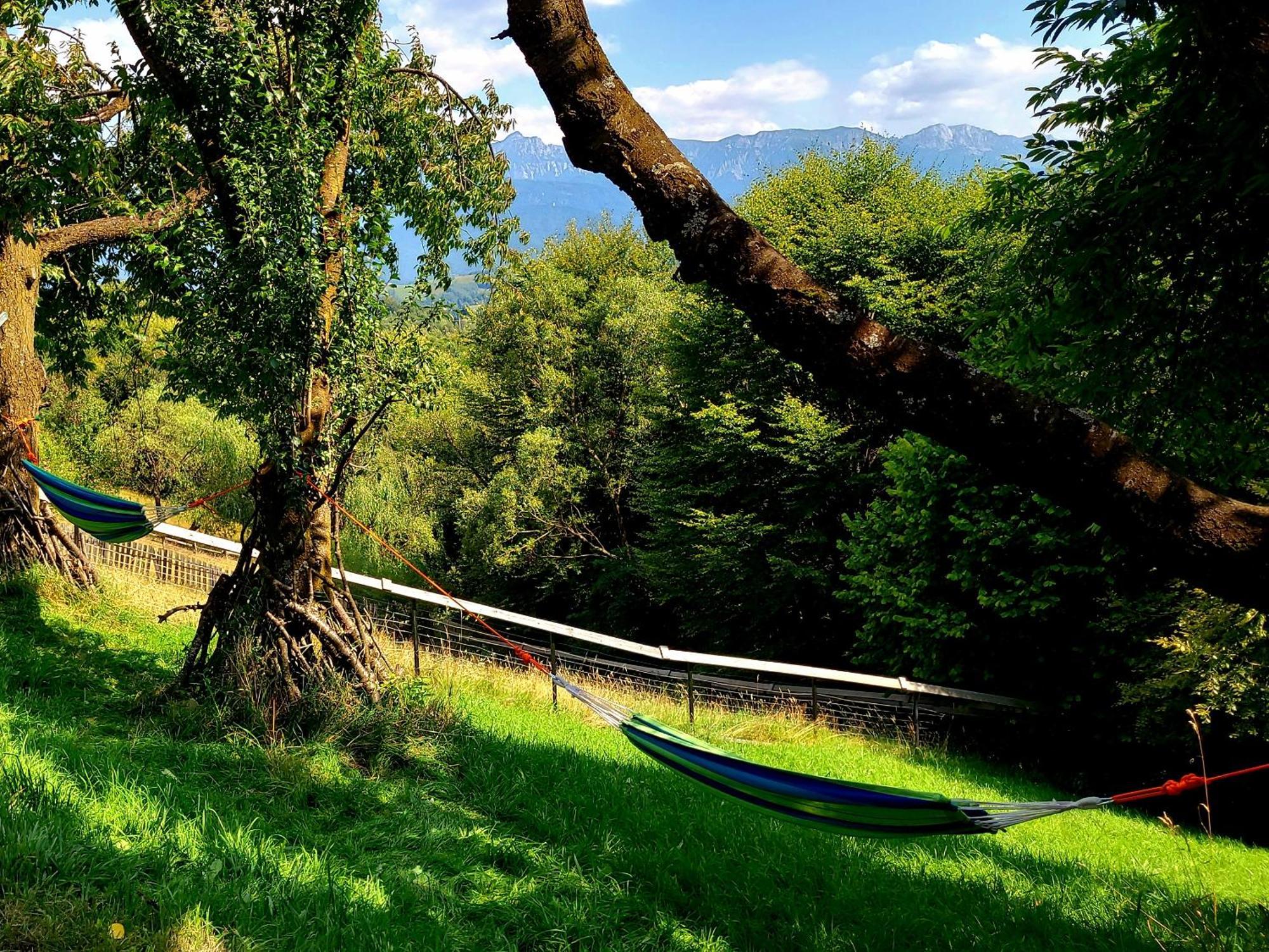 Carpathia Magic -Adults Only Villa Pestera  Exterior photo